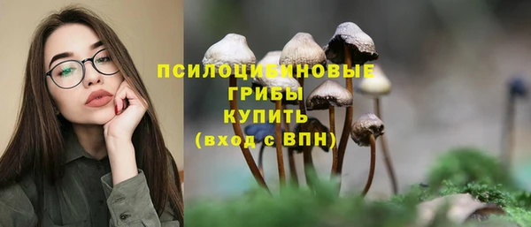 прущая мука Вязьма