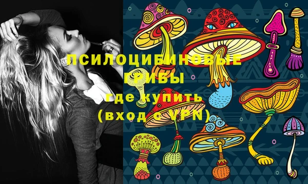 прущая мука Вязьма