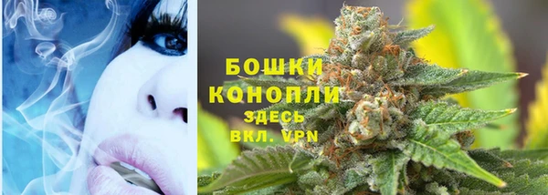 дживик Вяземский