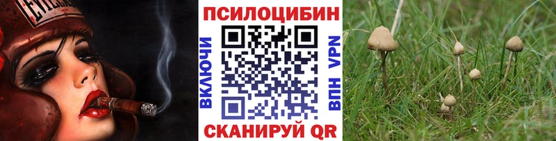 Галлюциногенные грибы GOLDEN TEACHER  Пушкино 